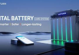 Luyuan 2025. Статистика продаж