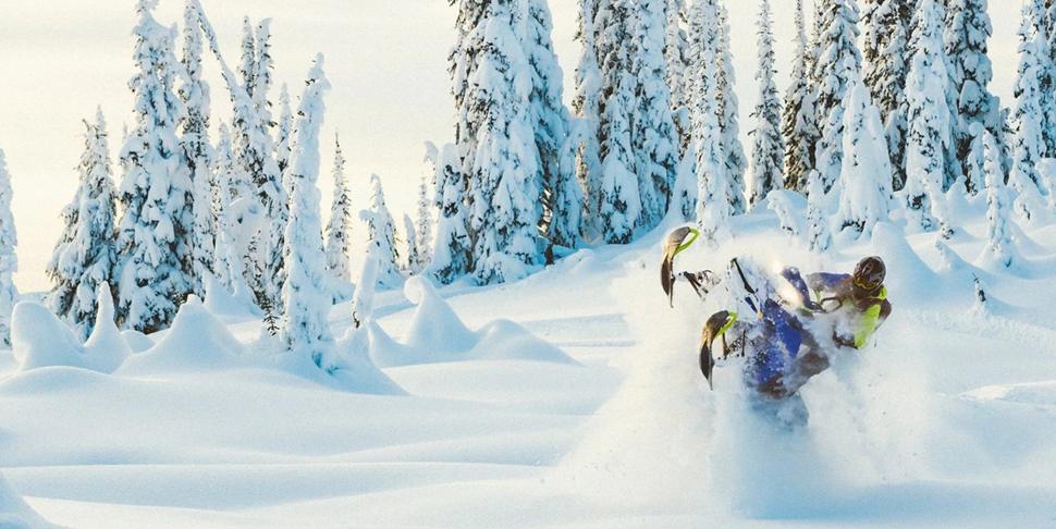 Снегоход Ski Doo Freeride 165 2020.