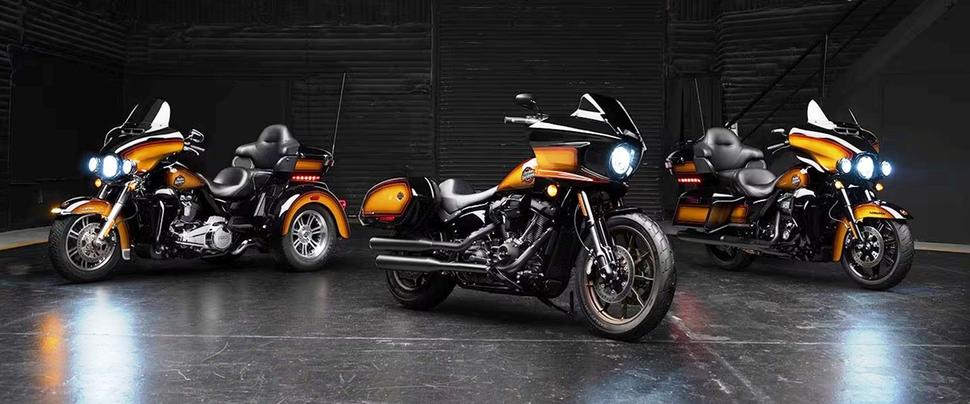 Harley Davidson Tobacco Fade 2024