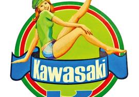 Kawasaki 2025. Статистика продаж