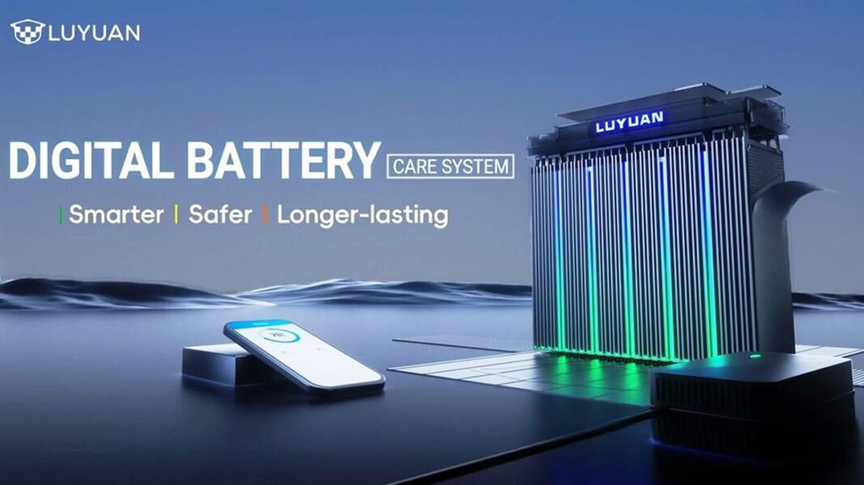 Luyuan 2025. Статистика продаж