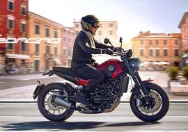 Benelli 2025. Статистика продаж